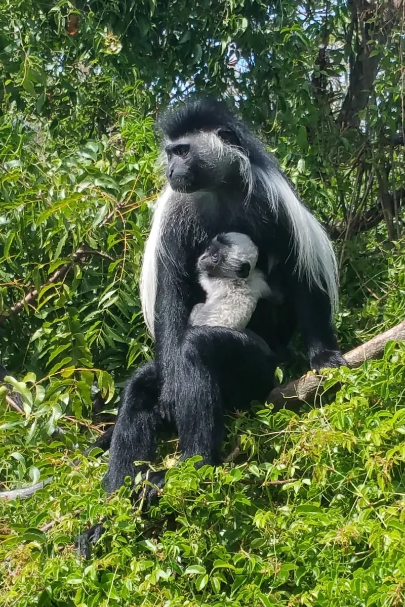 Mum and son