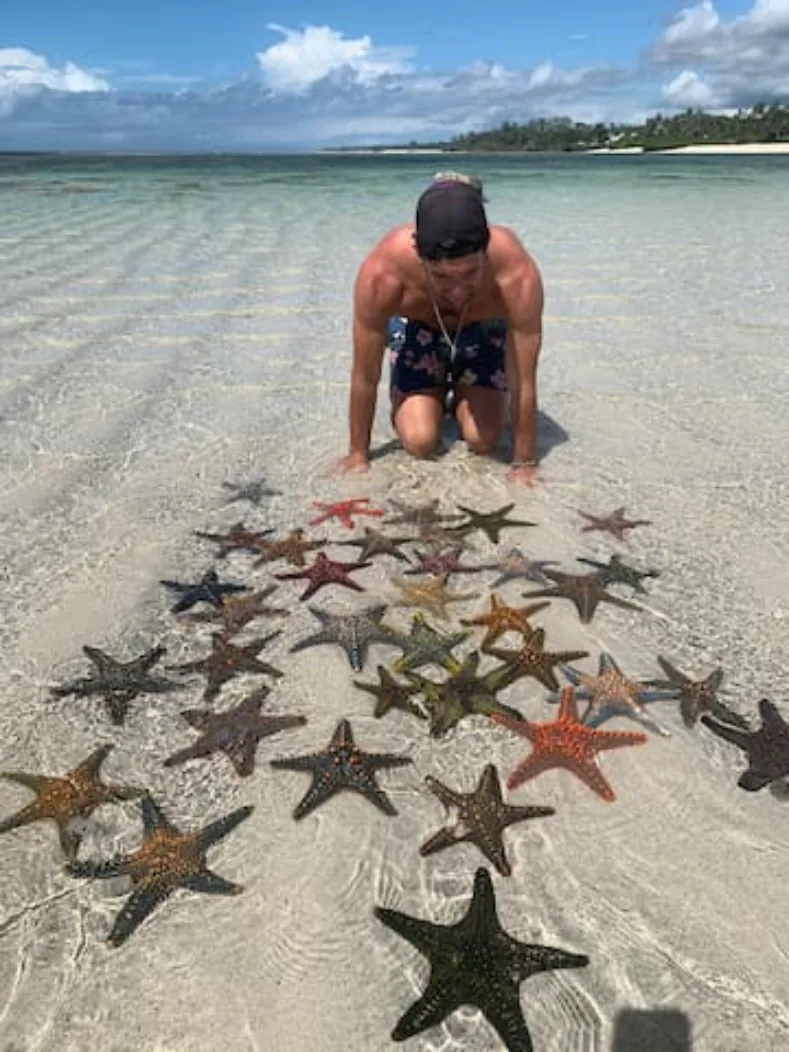 Starfish in shallow coastal water