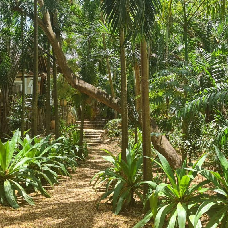 Tropical